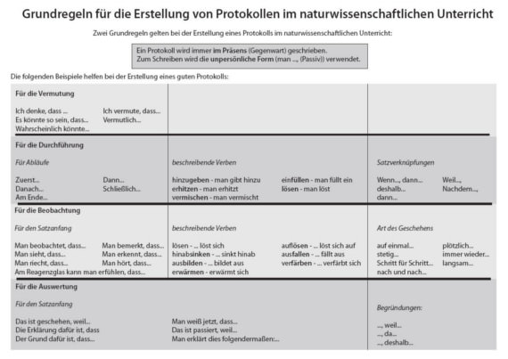 grundregeln-protokoll-ronny-vogler-klein mini