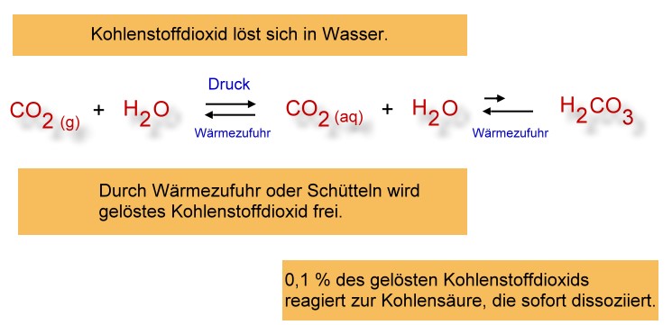Kohlensaeure-Gleichgewicht