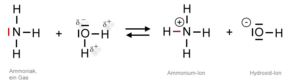 ammoniakwasser