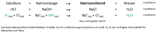 neutralisation-bsp1-klein