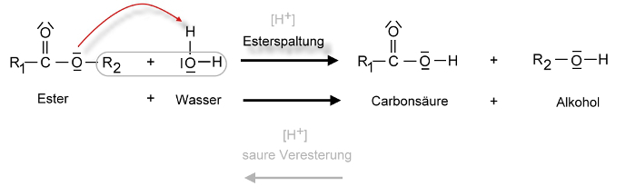 hydrolyse-ester-klein