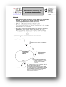 nat kalkk schema