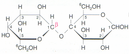 lactose haworth 500