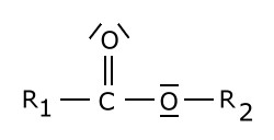 esterbindung