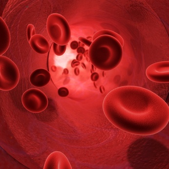 Fotolia 16611321 XS-Blut